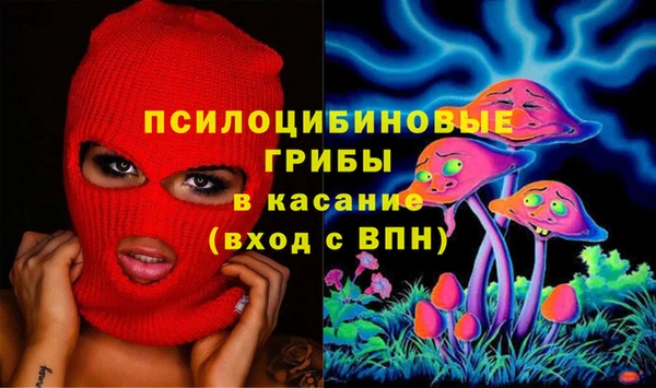 PSILOCYBIN Богородицк